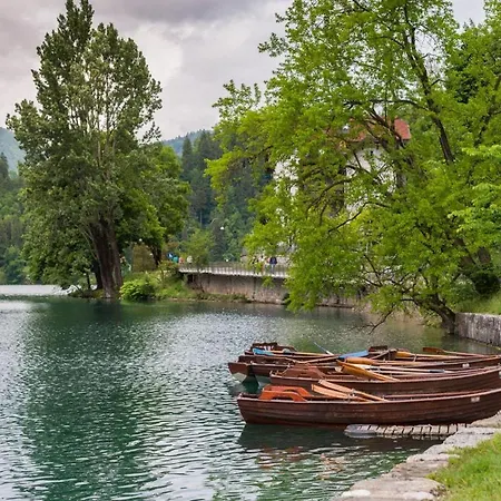 Jezero - Mlino
